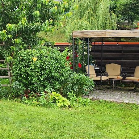 Trovanti Apartment Feleacu Luaran gambar