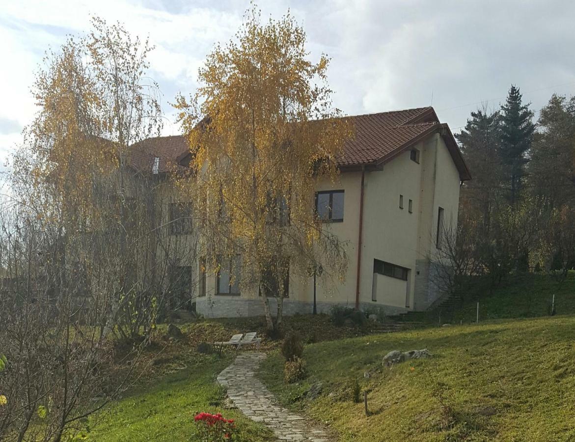 Trovanti Apartment Feleacu Luaran gambar