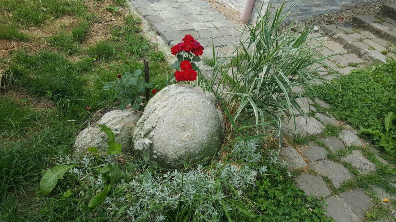 Trovanti Apartment Feleacu Luaran gambar